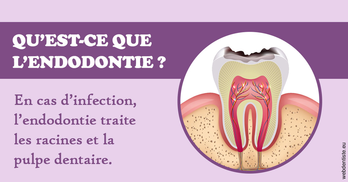 https://www.dentiste-neuville.fr/2024 T1 - Endodontie 02