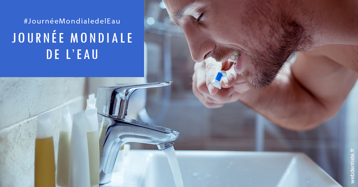 https://www.dentiste-neuville.fr/Journée de l'eau 2