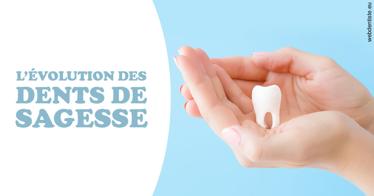 https://www.dentiste-neuville.fr/Evolution dents de sagesse 1