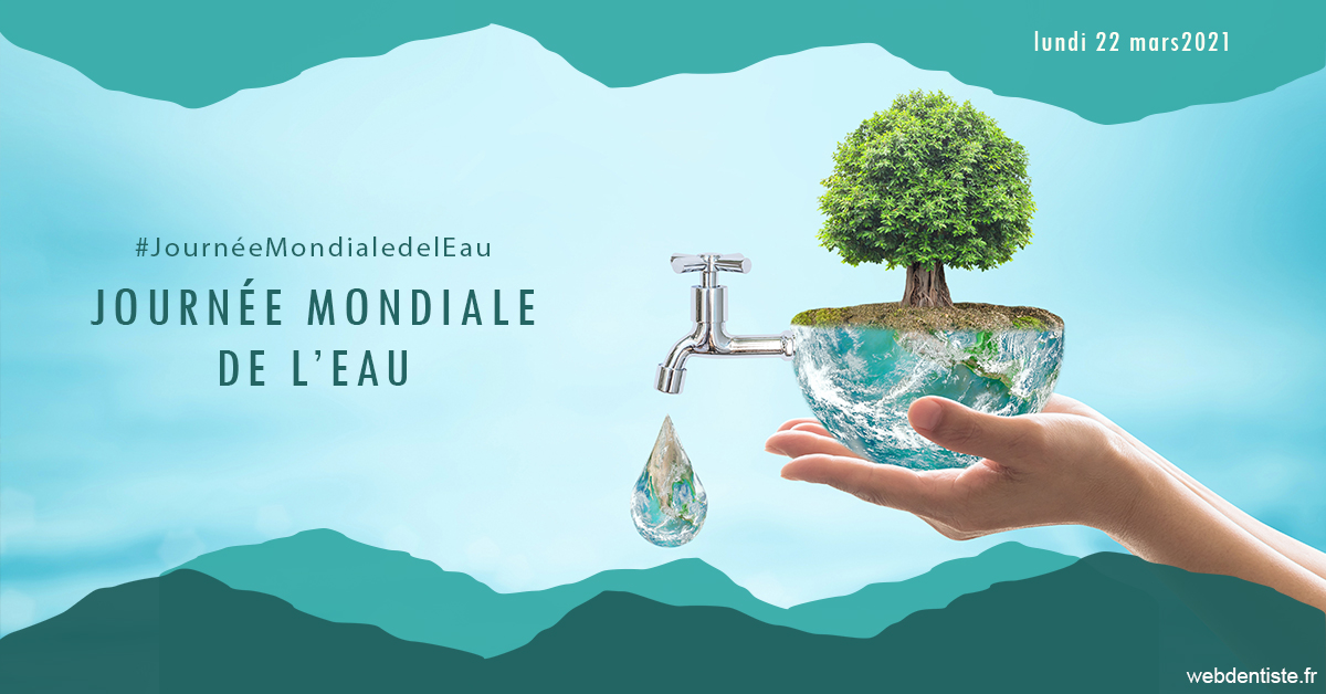 https://www.dentiste-neuville.fr/Journée de l'eau 1