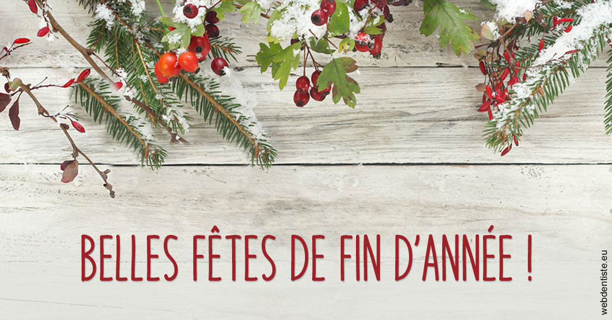 https://www.dentiste-neuville.fr/Joyeux Noël 2