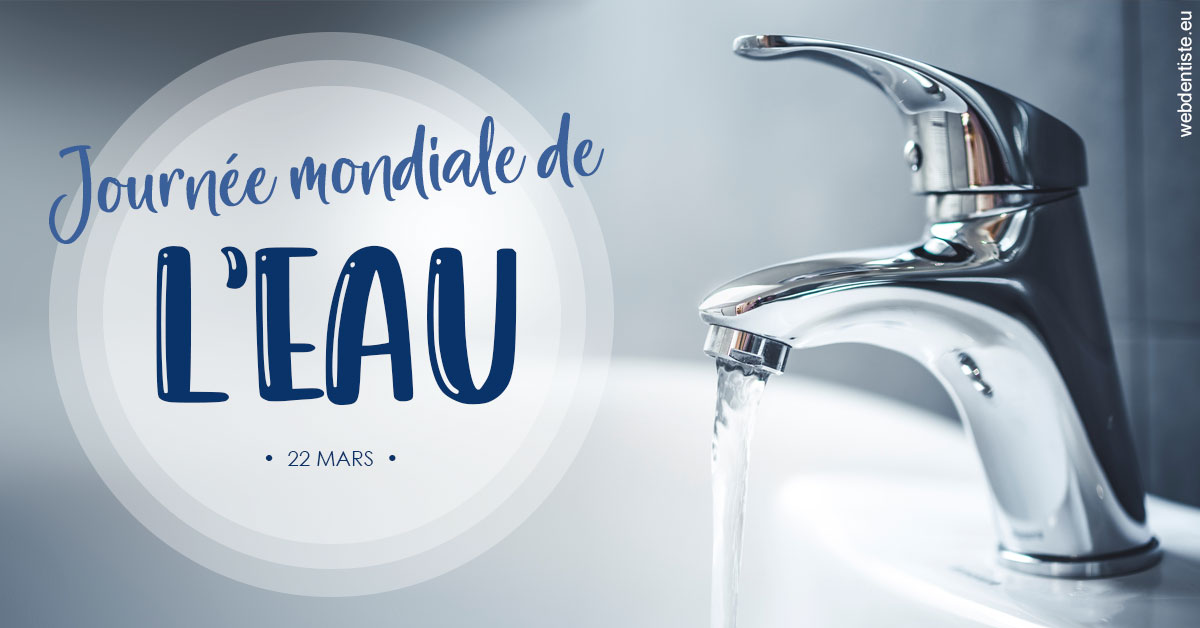 https://www.dentiste-neuville.fr/La journée de l'eau 2