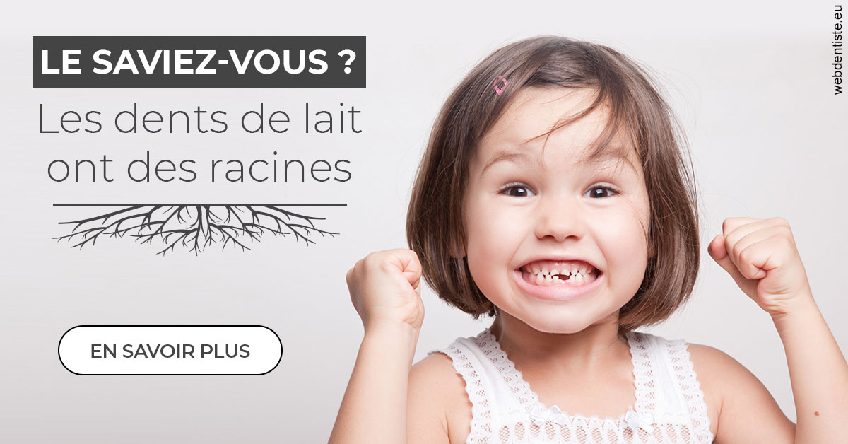 https://www.dentiste-neuville.fr/Les dents de lait