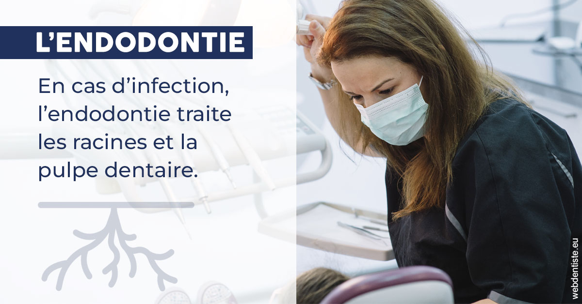 https://www.dentiste-neuville.fr/L'endodontie 1